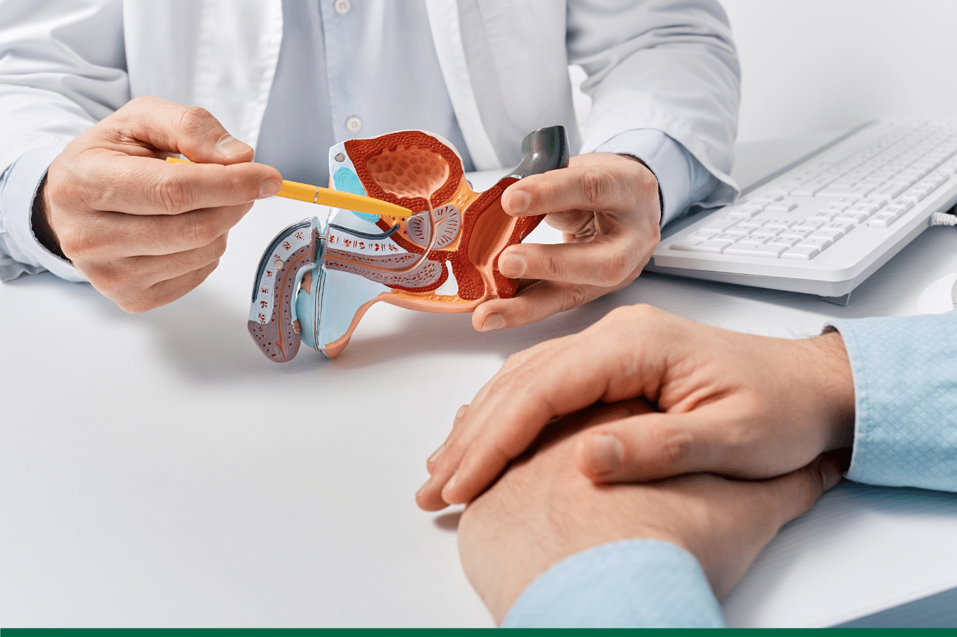 domimag-prostate