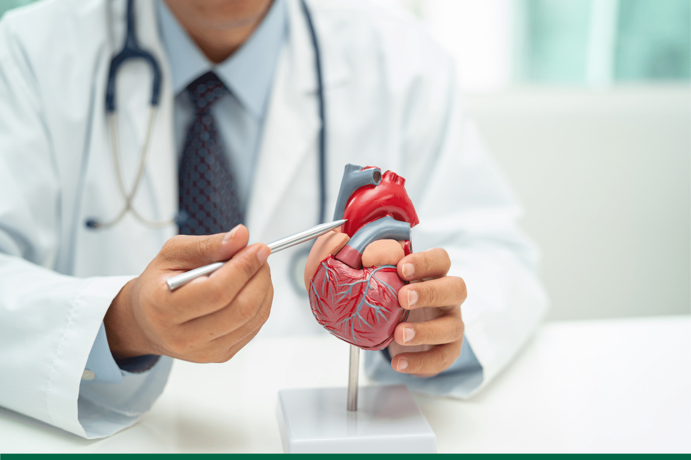 domimag-prevention-maladies-cardiovasculaires