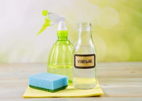 Ménage de printemps : respectons l’environnement