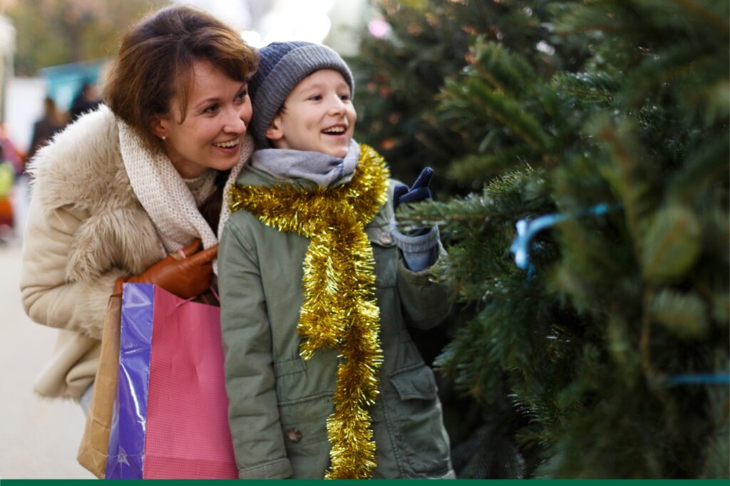 Quel sapin choisir pour les fêtes ?