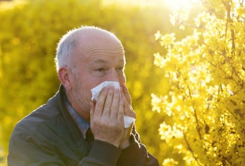 Allergie au pollen : que faire pour la soulager ?