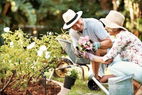 Tout savoir sur le jardinage avec la lune