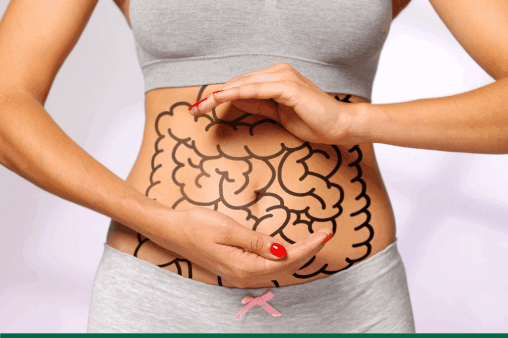 Tout savoir sur le microbiote