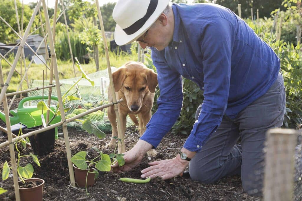 Au jardin en mars : que planter, semer et faire en mars ?