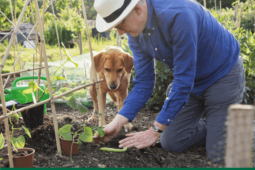 Au jardin en mars : que planter, semer et faire en mars ?