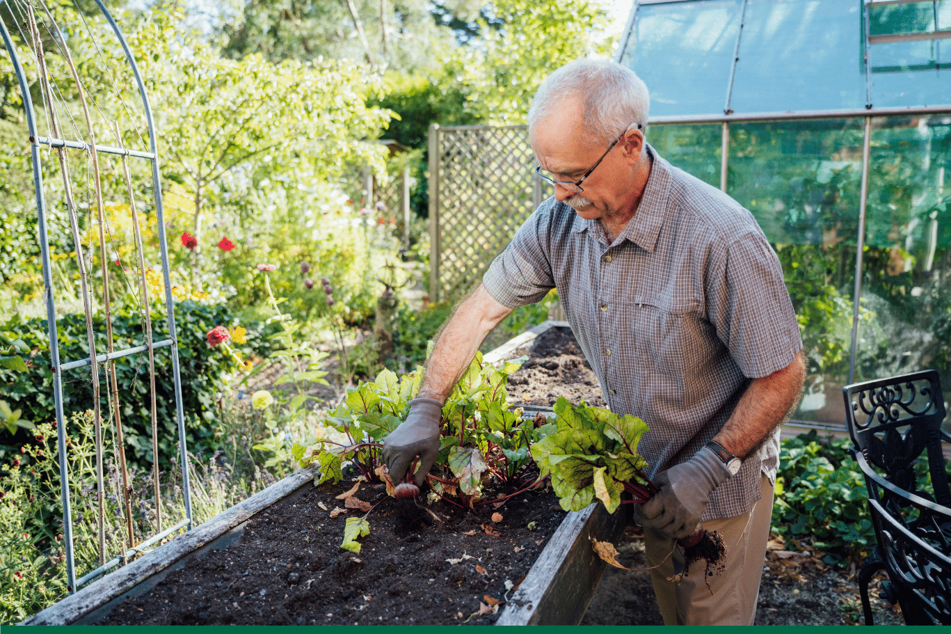 domimag-potager-sureleve