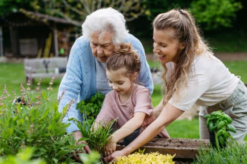 Au jardin en mai : que planter, semer et faire ?