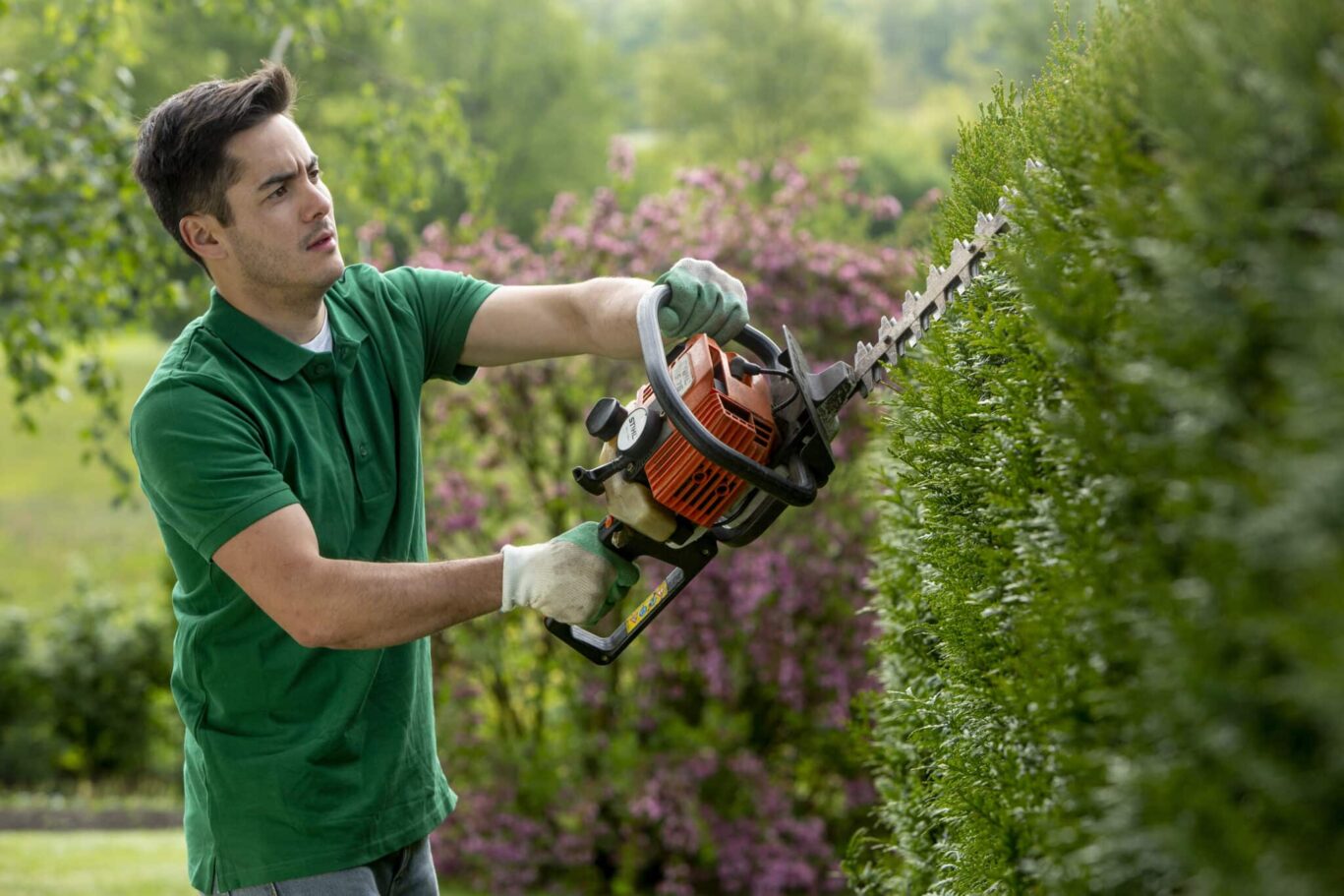 domidom-jardinage-petits-travaux