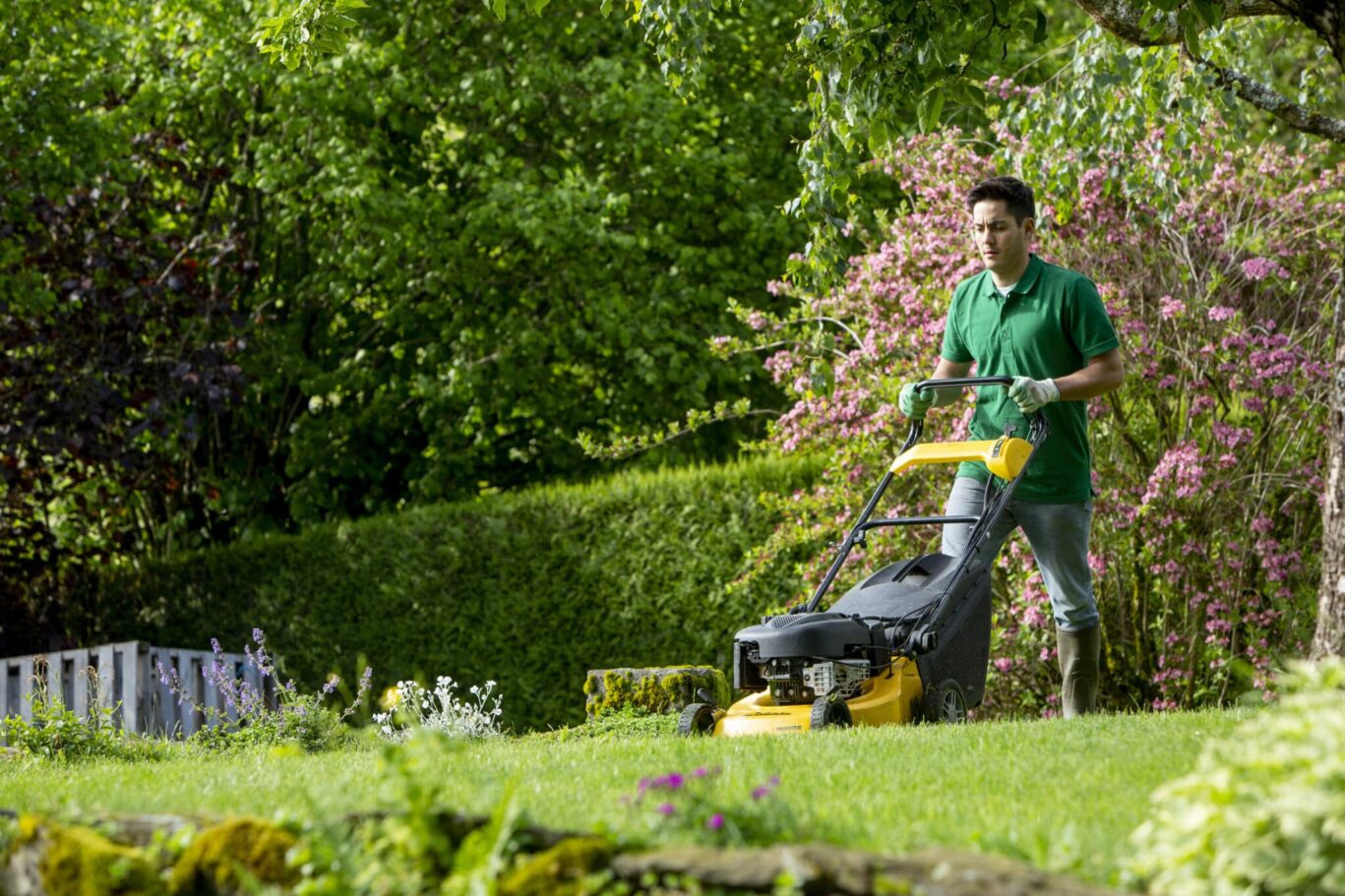 Petits travaux de jardinage